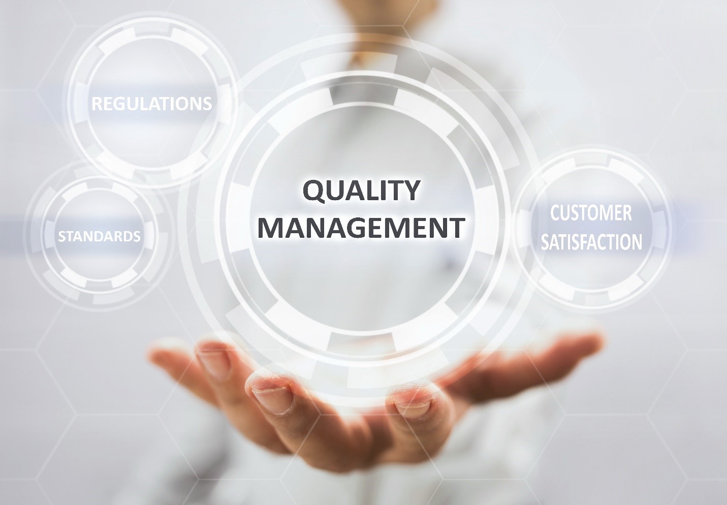 Quality Management consultancy